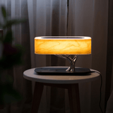 Light of Life