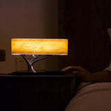 Light of Life